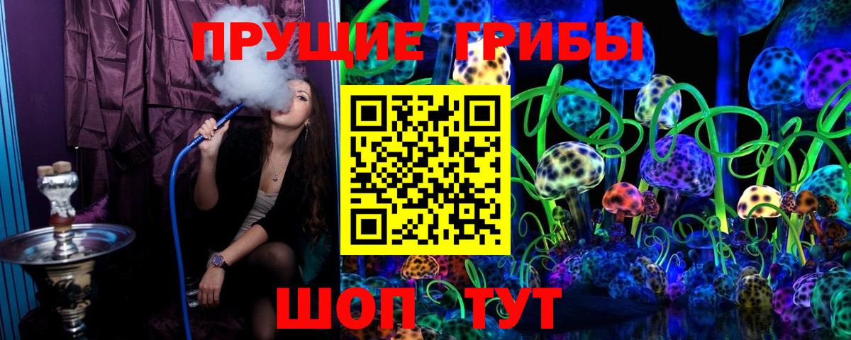 Оренбург  цена наркотик  Вход с VPN  Галлюциногенные грибы GOLDEN TEACHER 